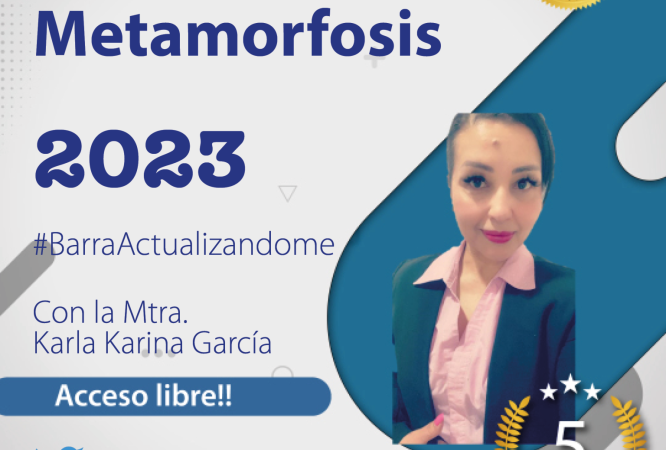 1-Nuevos-copia31-1536x1536