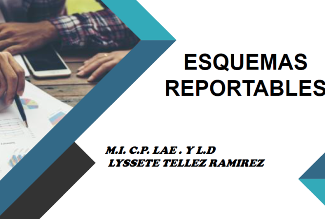 Esquemas-reportables-lyss