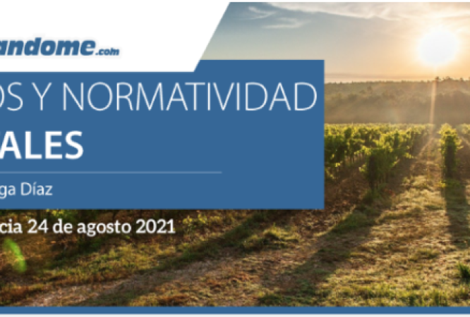 Captura-de-pantalla-2021-08-25-a-las-13.18.36-768x296