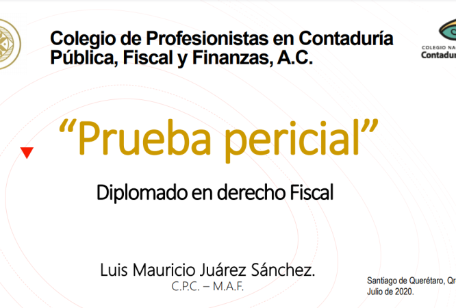 prueba-pericial